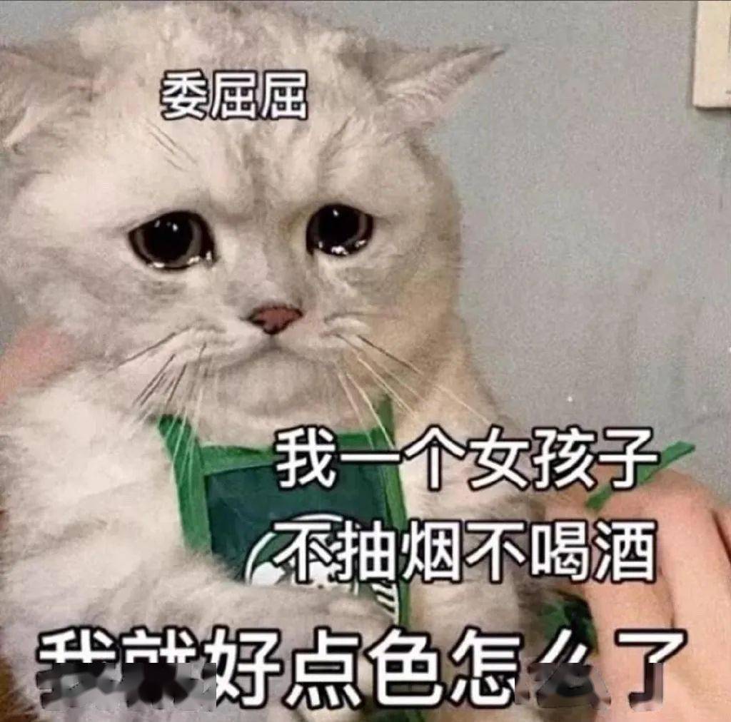 微信热门表情包:舔狗来喽_公众_熊猫头_老天爷