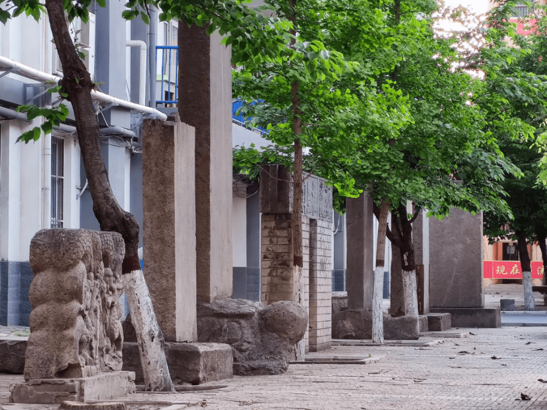 遇见最美校园丨沁阳市高级中学_文化_办学_覃怀