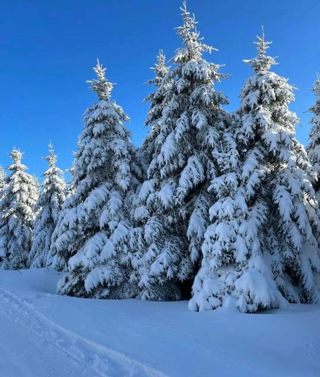 作为安图县今冬主推网红打卡地,全新的冰雪王国,夜景灯光秀,全域娱雪
