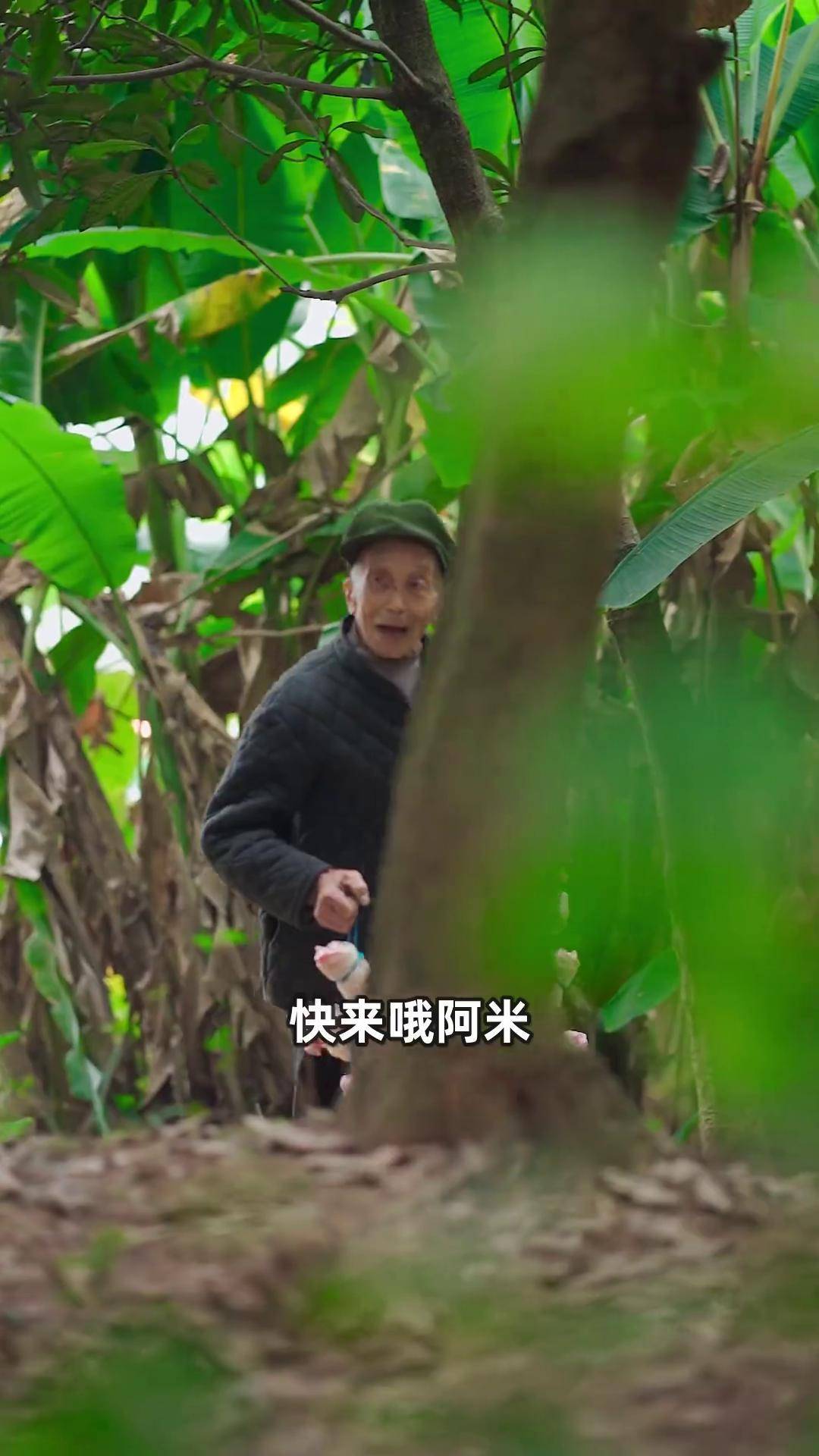 阿米给阿公做老妈蹄花,汤色雪白,软糯耙嫩,入口即化