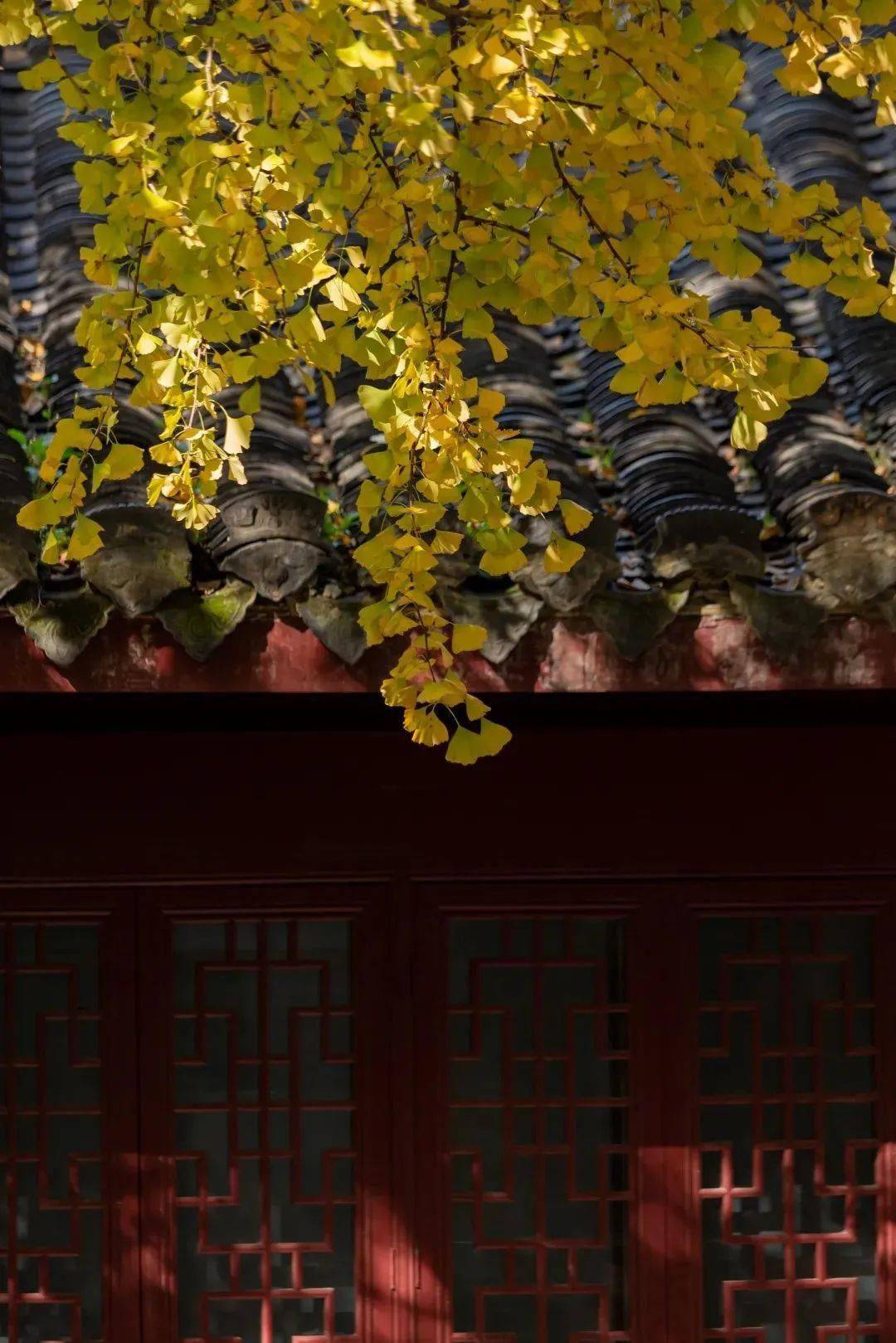 免费汉中门广场门票 |免费华严寺门票 | 免费毗卢寺门票 | 20元/人