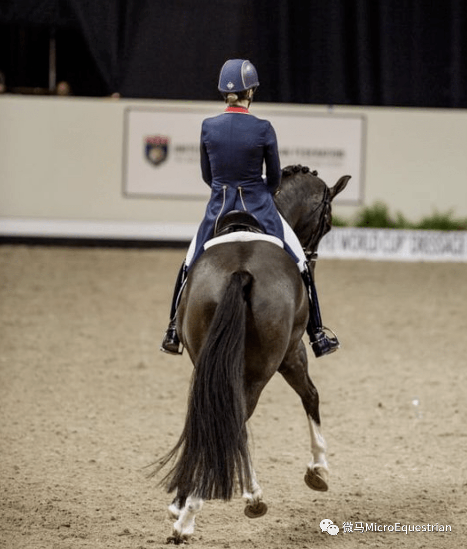 【马术训练】肩内/腰内?