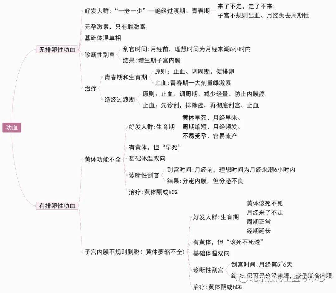 【思维导图】女性生殖系统疾病——功血