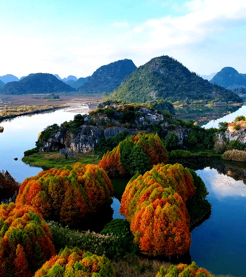 普者黑:水杉披彩装 湿地美如画_丘北县_景区_国家
