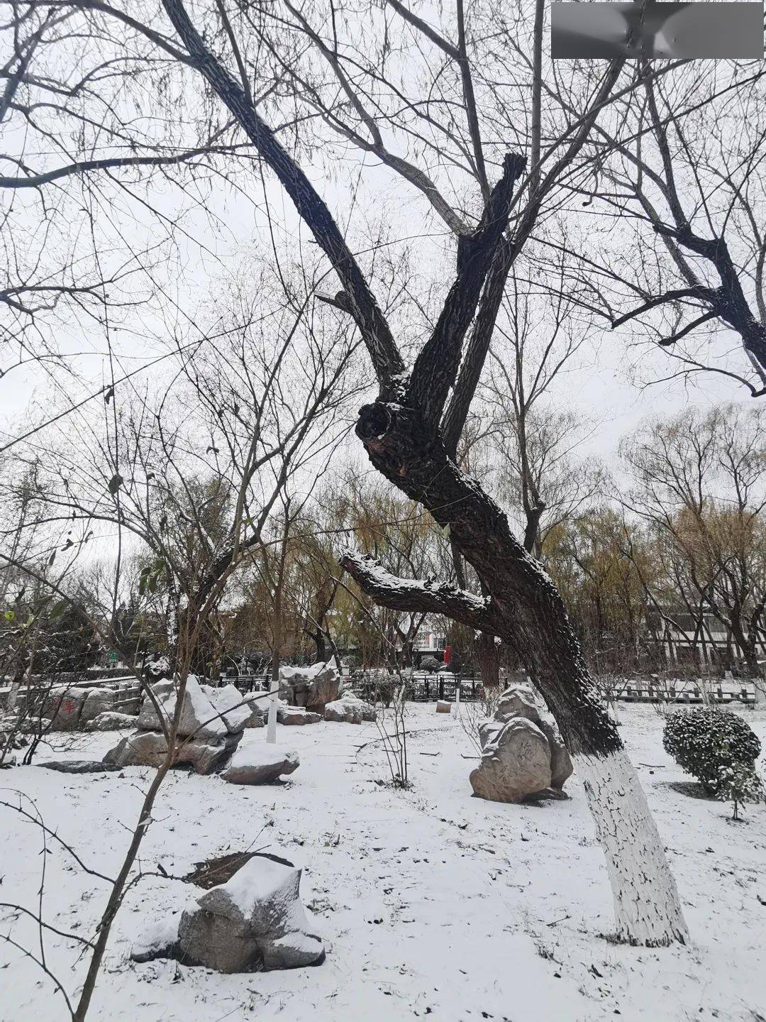 沽天气