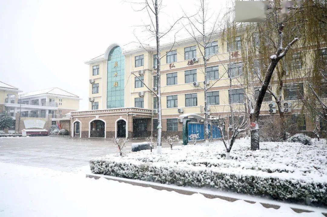 雪落校园 纯净如画——昌乐一中邀您共赏校园雪景