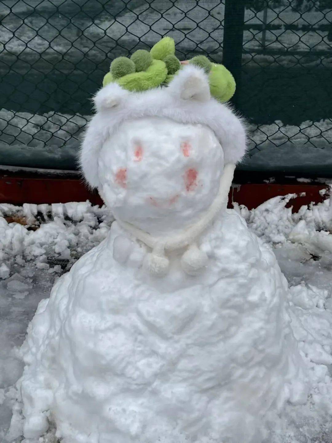 雪人作品让农大学子用无尽乐趣与创作灵感还一键触发农大学子的堆雪人