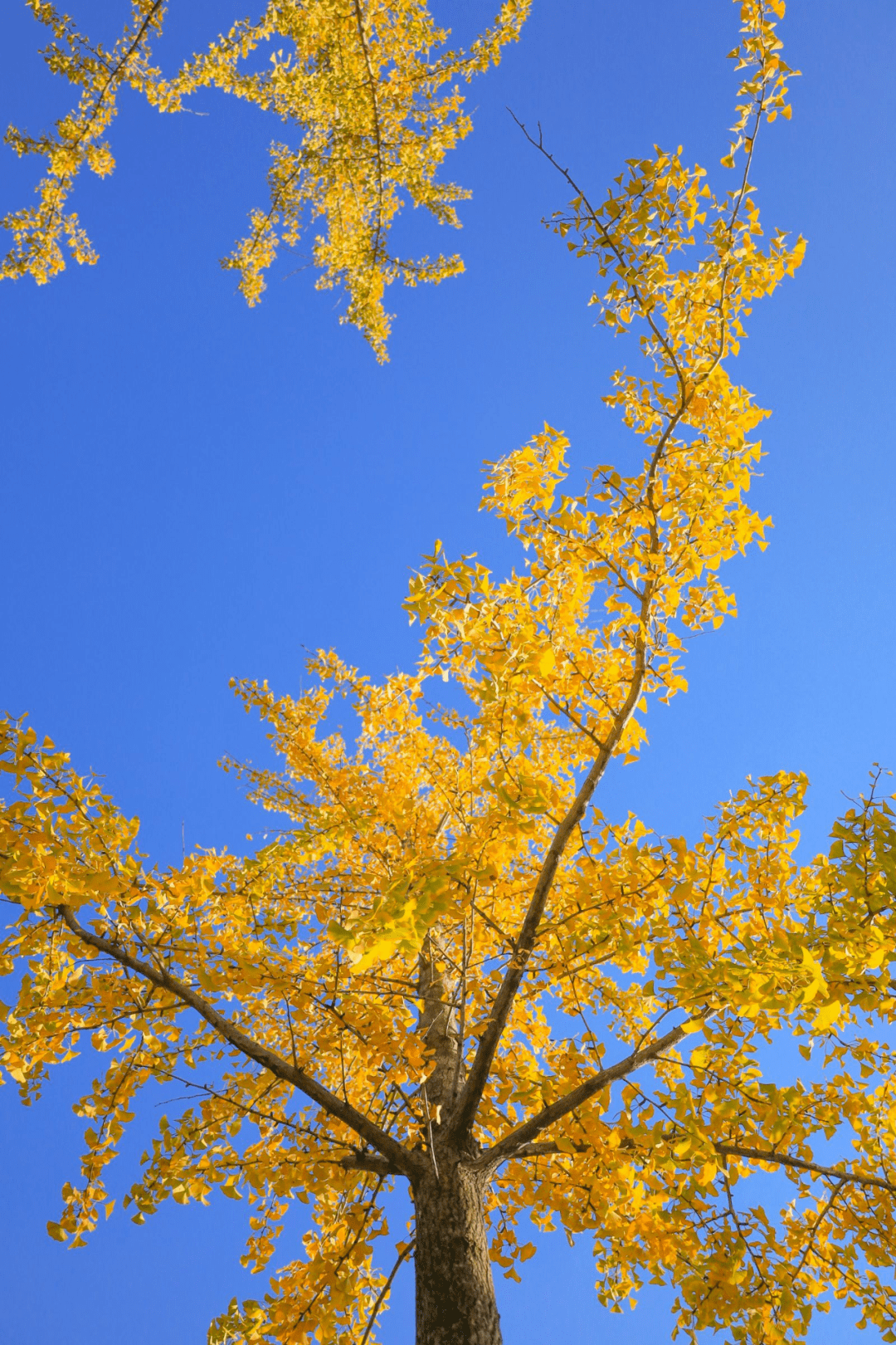 夏日_秋风_冬日