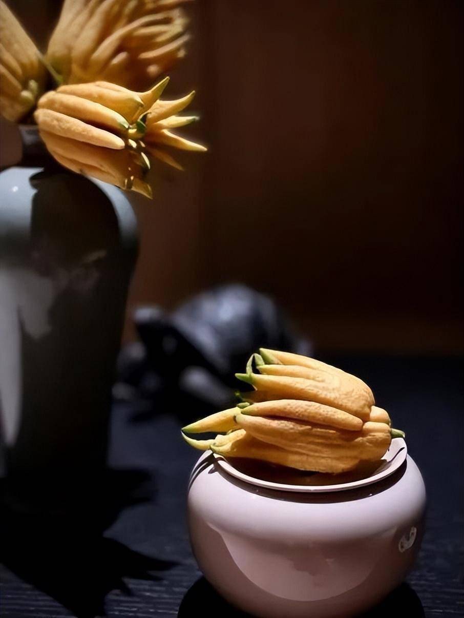 "果中之仙"佛手大揭秘