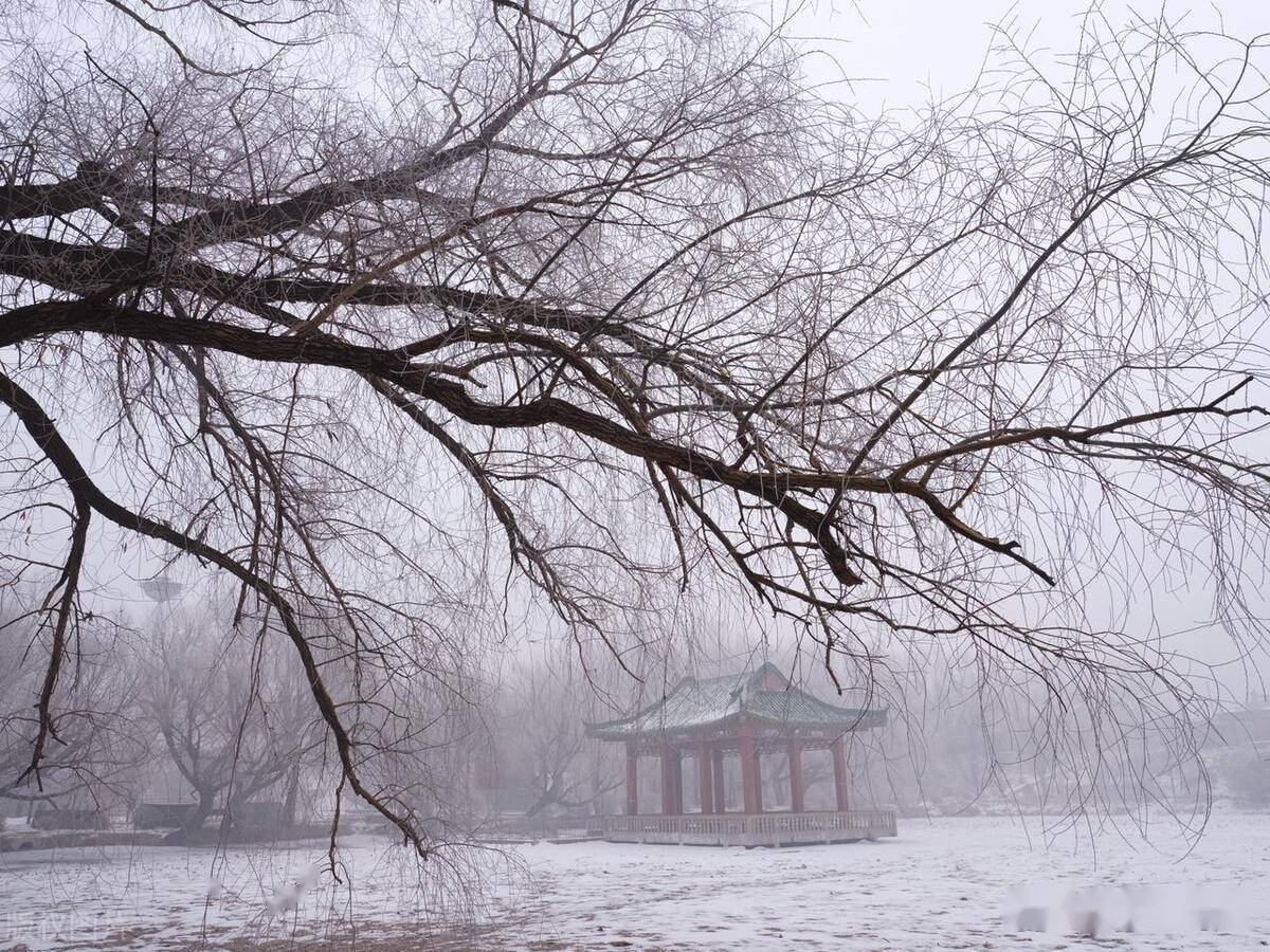 《湖心亭看雪》(明)张岱_相公_小舟_影子
