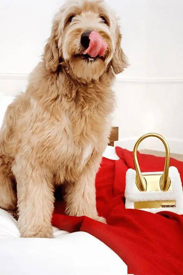 jennie 出镜演绎 jacquemus 2023 假期系列大片「guirlande」| hb