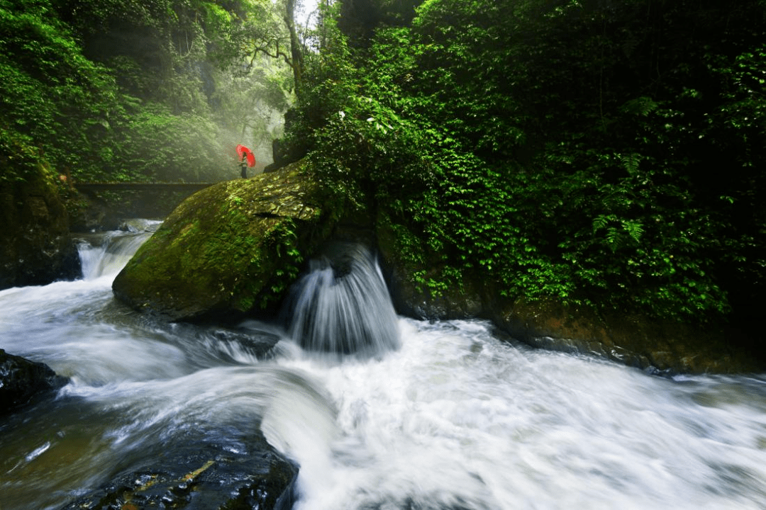 康养玉溪丨到新平戛洒,拥抱一场暖冬之旅!_云南省_云海_河谷