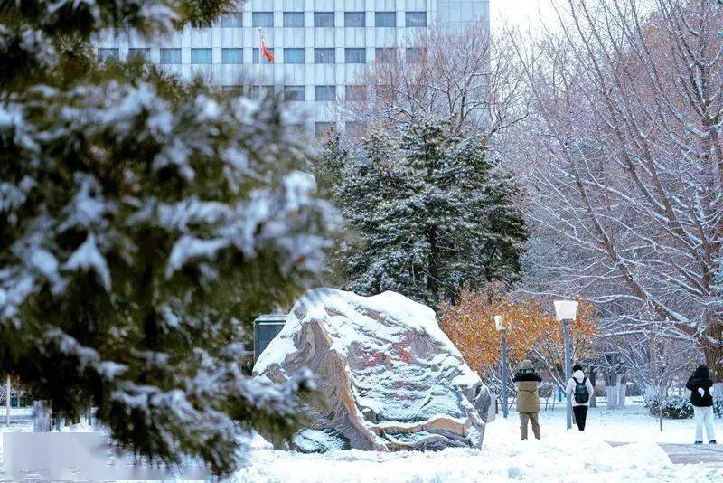 妖嬈中國礦業大學(北京)一夜雪來,滿園潔白北京石油化工學院銀裝素裹