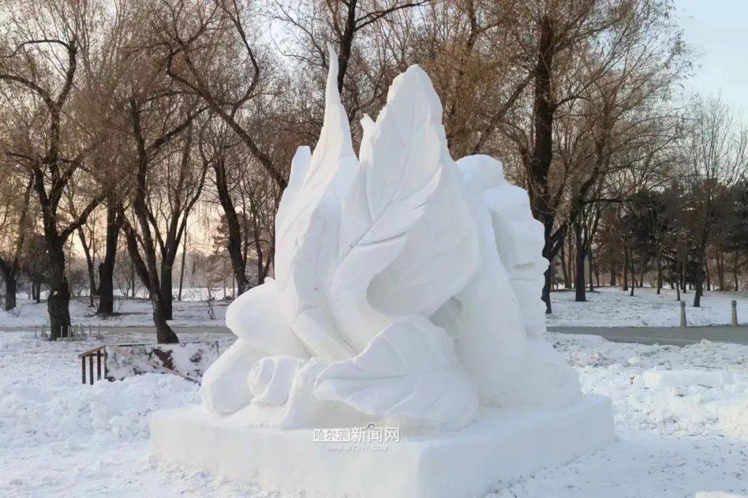 00开园,官方发布"导览图" |太阳岛雪博会票价定了 →_哈尔滨_园区