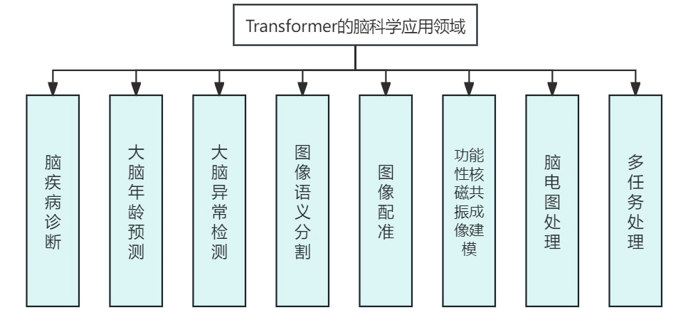 腦科學能用transformer做什麼?_注意力_機制_模型