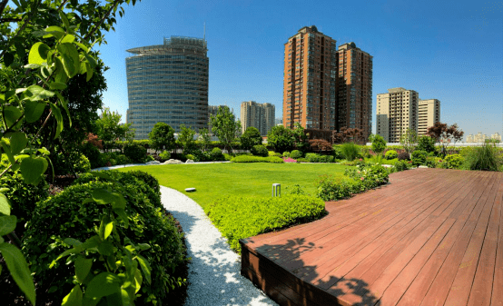 上海一周区情:红叶枫林浸染初冬申城 老弄堂华丽变身摩登社区_银杏