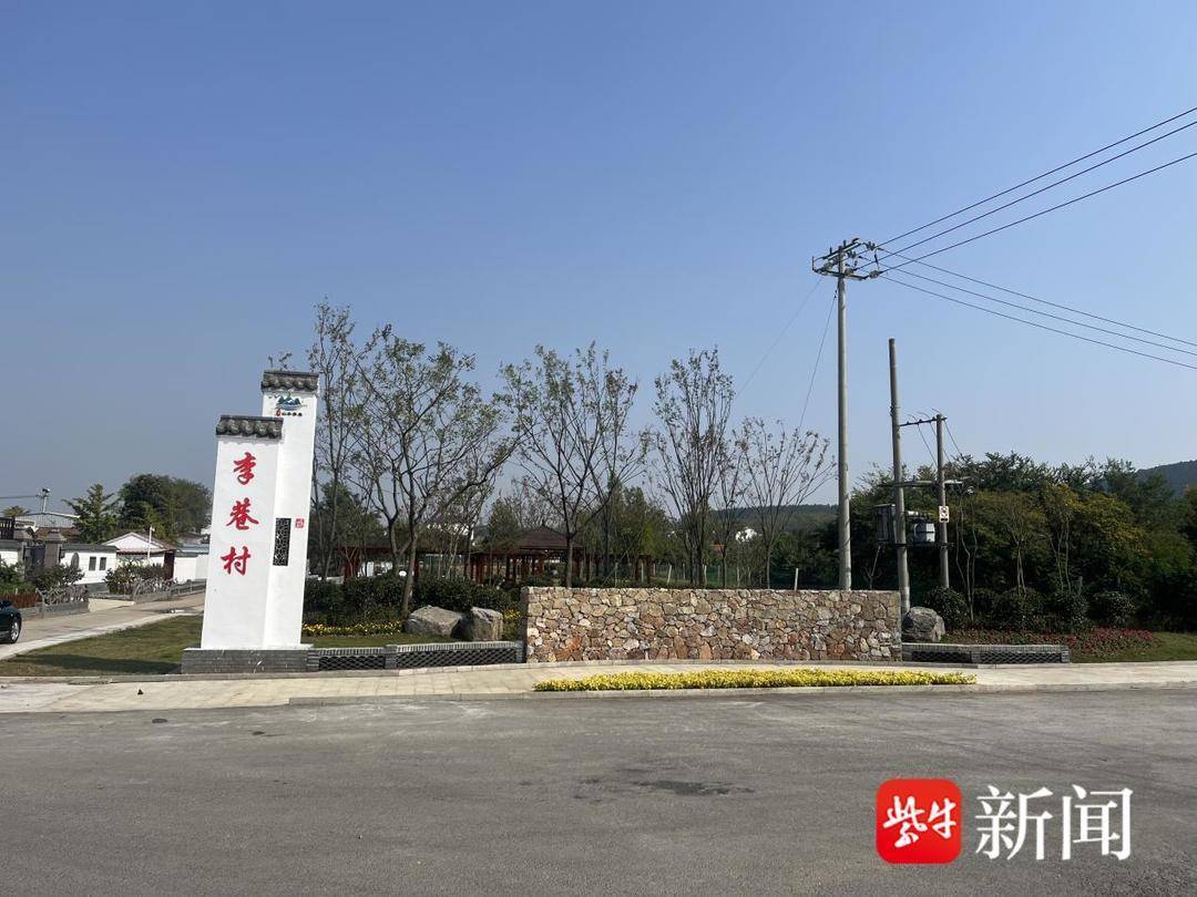 邳州市八路镇:打造省特色田园乡村,人大代表在行动_李巷_建设_监督