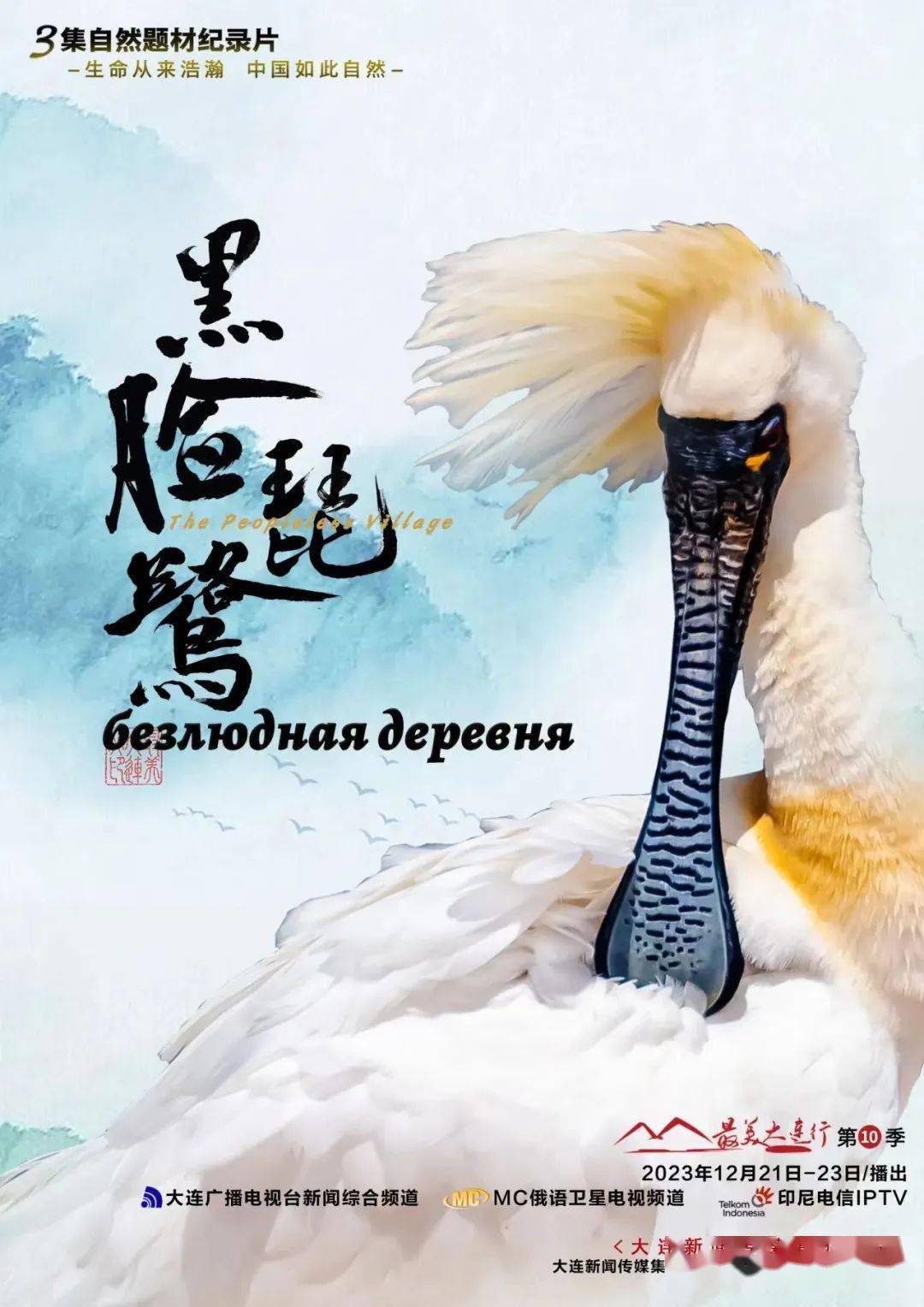 大型自然题材纪录片《黑脸琵鹭》即将播出!