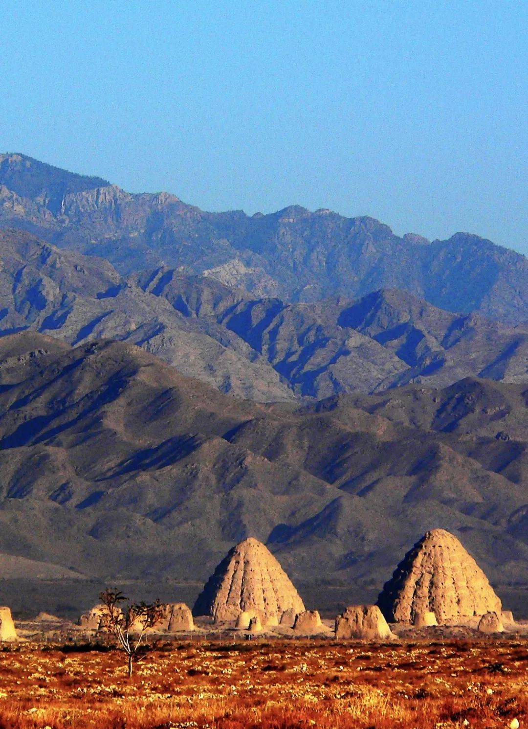 兰陵山里王景区图片