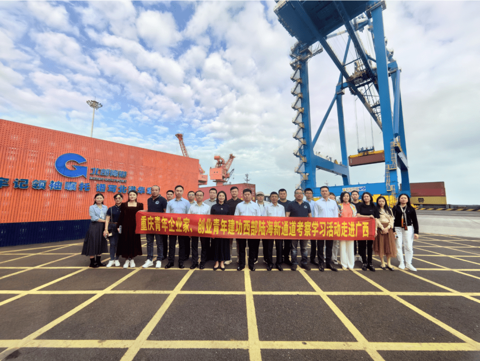 北海康養職業學院,北海鐵山港(臨海)工業區公用碼頭,廣西太陽紙業有限