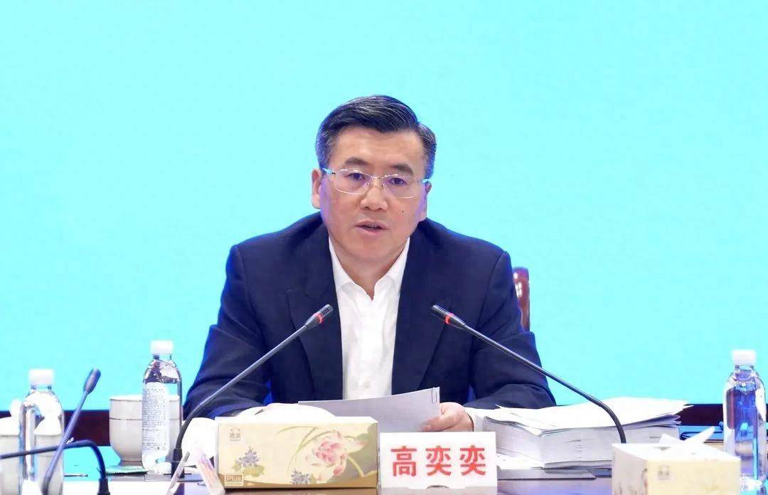 上海宝山区区长高奕奕,被查_显示_松江区_交通委员会