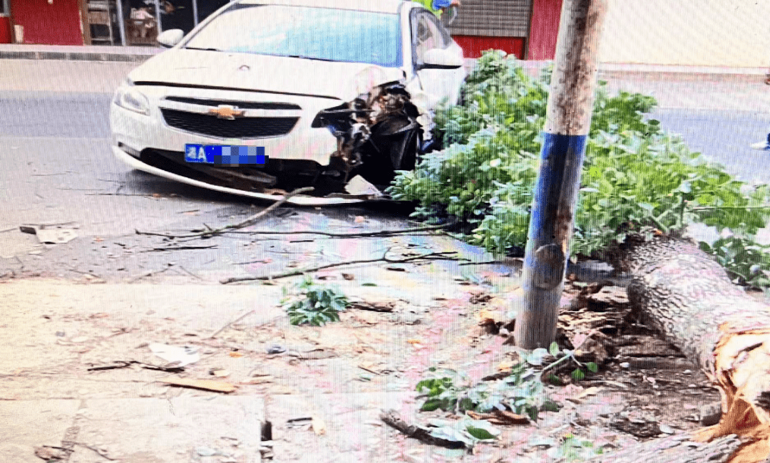 分心驾驶,宁乡一车子上了树了._车辆_手机_事故