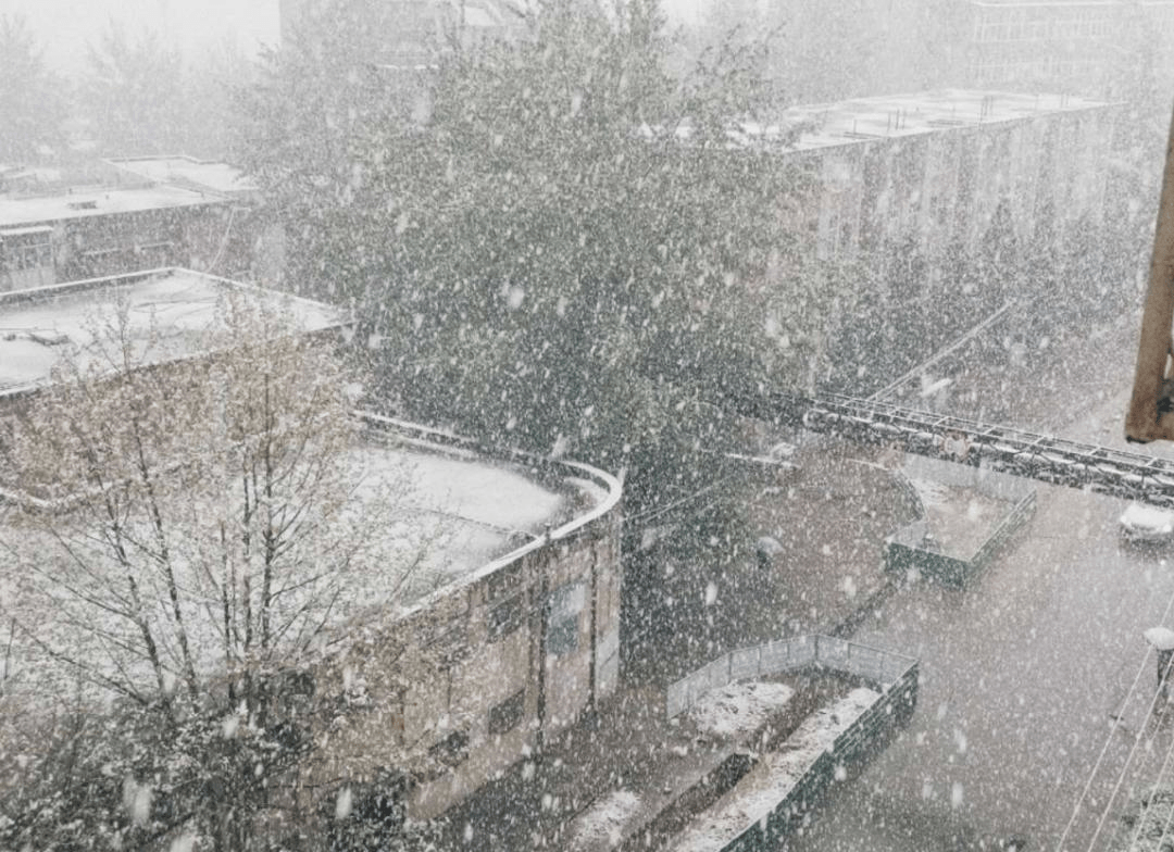 真相是…_雷打雪_天气_影响