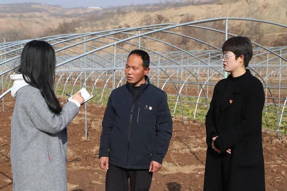 武山县高楼镇:党群共建"聚宝棚" 产业共圆"致富梦"_发展_群众_漳河