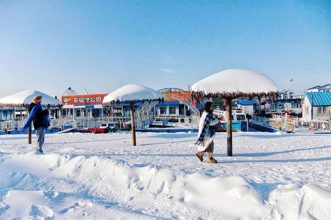 来源:哈尔滨新闻网记者:李木双"哈报手机记者":吃老本 老兵帅克 乐晨