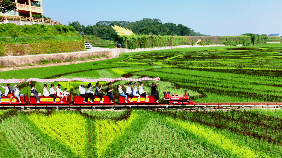文明村镇巡礼 | 宾阳镇古辣镇:"稻花香里"说丰年 喜看乡村焕新颜_实践