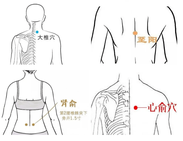 養生_節氣_補充