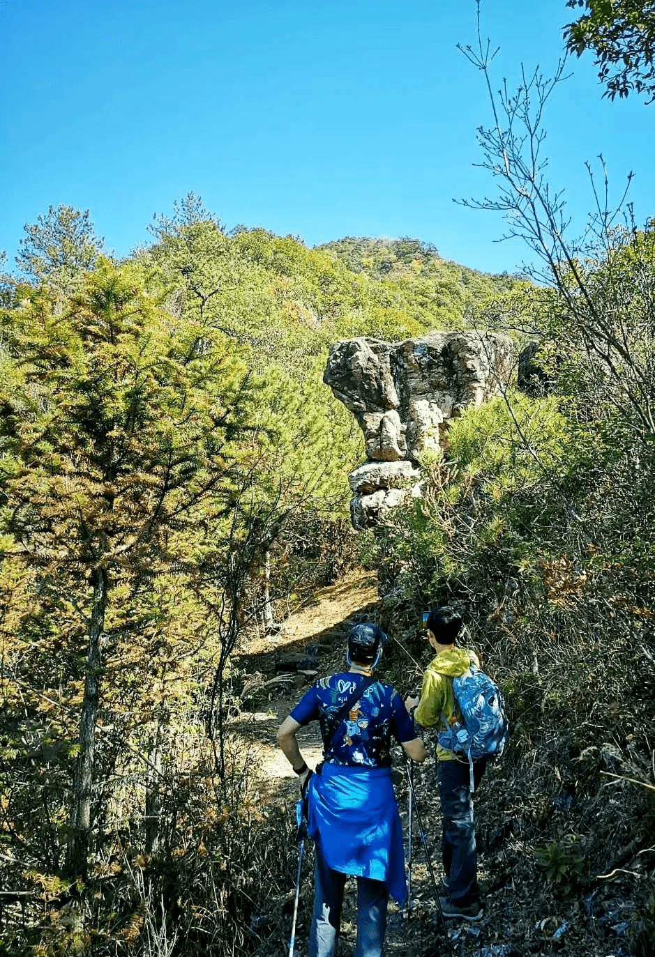 冬遊麗水:在遂昌,選擇喜歡的方式綻放生命的活力_馬山_山林_冬日