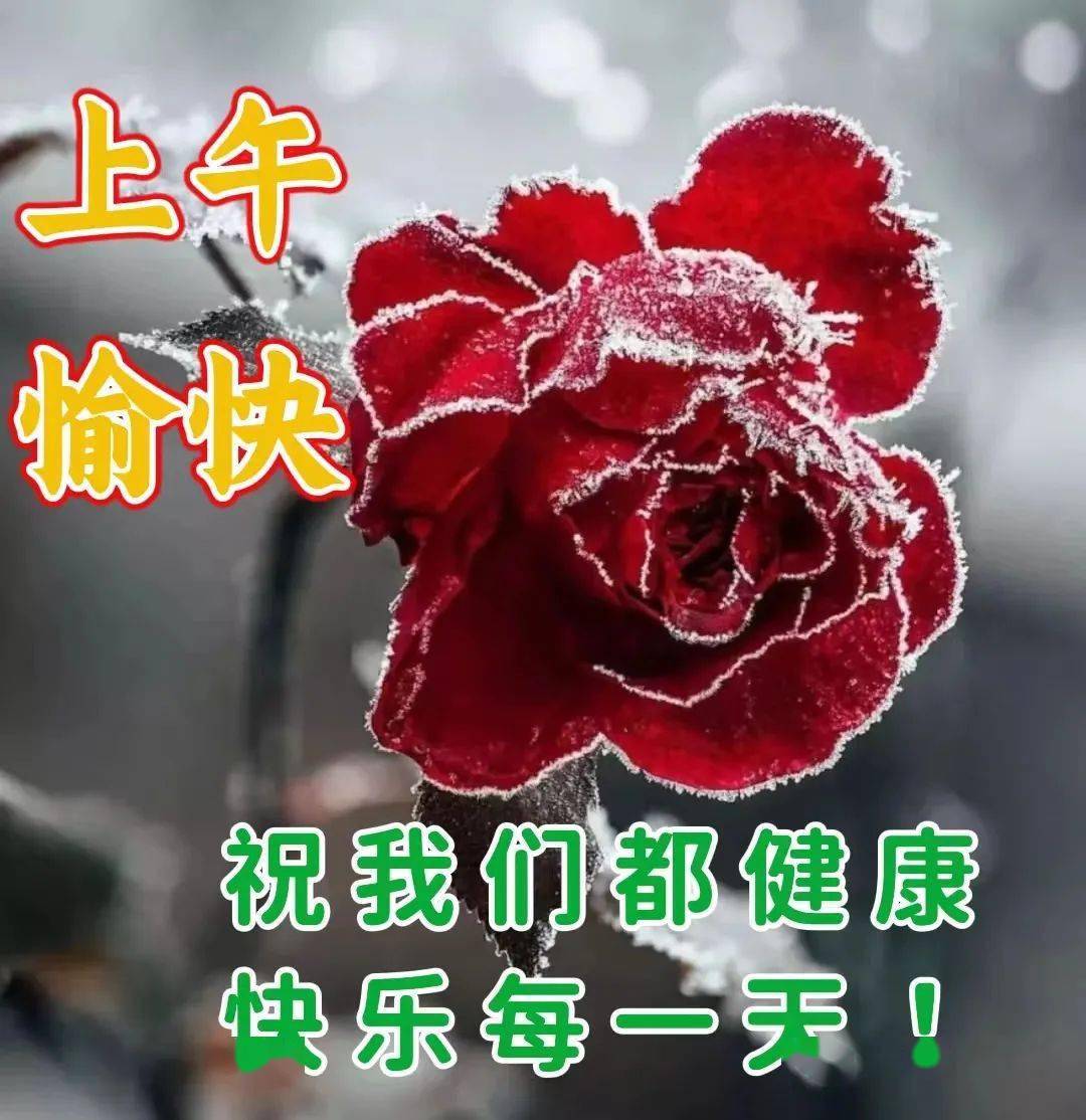 中老年早上好,精選早安溫馨祝福圖片帶問候語_歲月_平安_生活