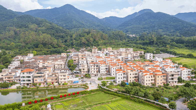 【聚焦"百千万工程"】新兴县六祖镇龙山塘村:共谱"共同缔造"和谐乐章