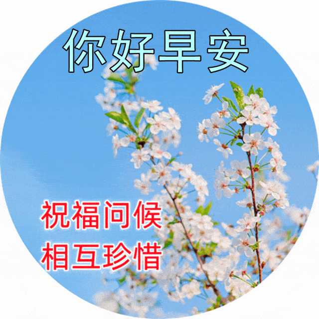 今日最新早上好表情图片大全,平安快乐,顺心如意_开心_朋友_祝福