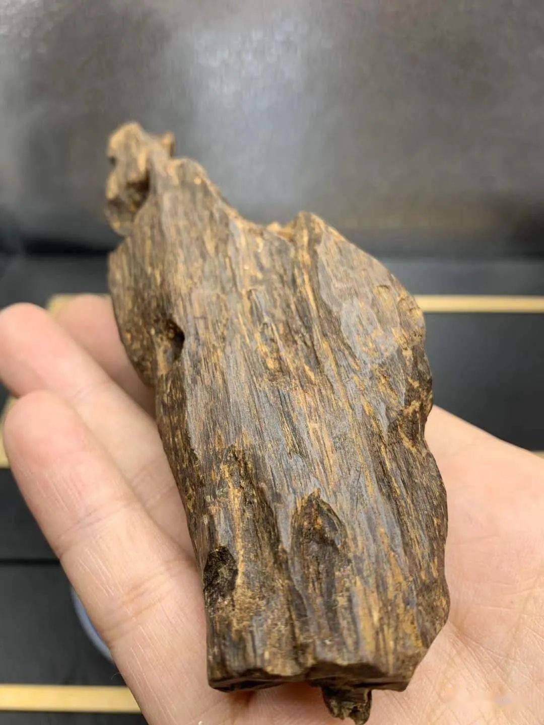 为什么越南芽庄沉香那么珍贵？_搜狐网