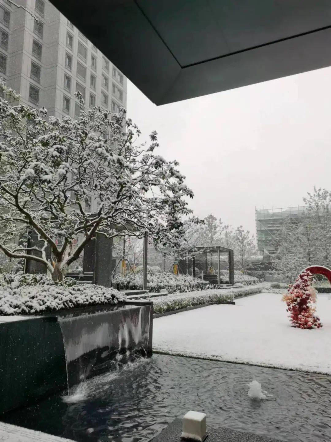 今天南京豪宅交付,有人冒雪打卡._金基望_景觀_項目