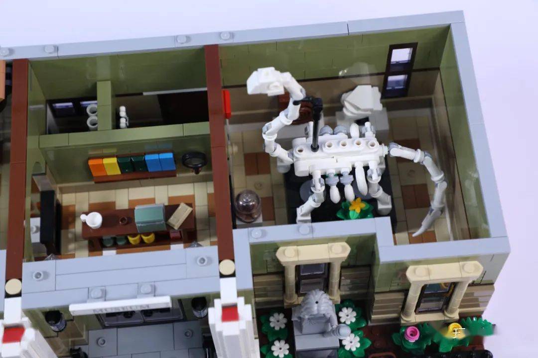 乐高10326自然历史博物馆,邀你入馆看展