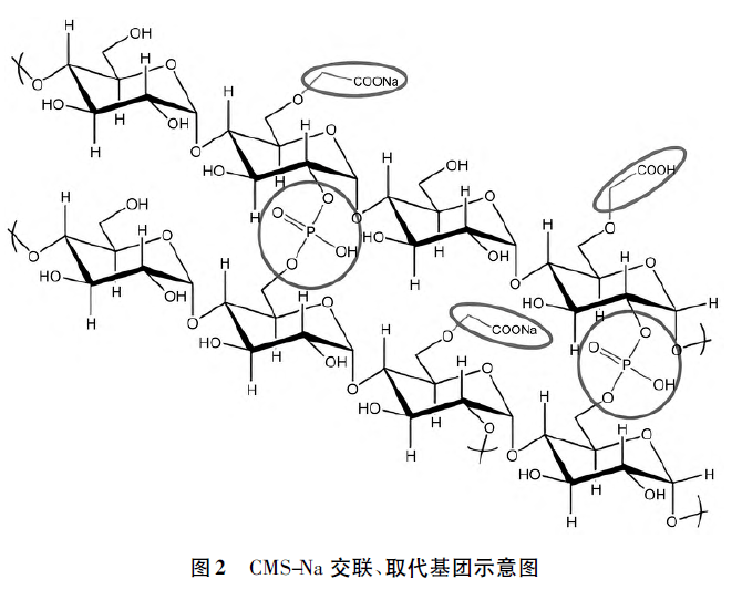 羧甲澱粉鈉的結構和吸水膨脹性的相關性分析_聚合物_產品_自由