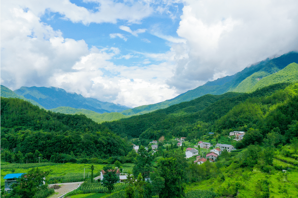 小城_季節_夏天