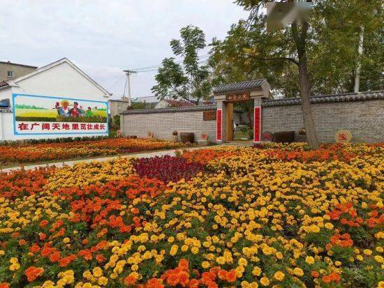 五河县小圩镇:文化振兴为乡村振兴"凝心铸魂"_家训_工作_薛集村