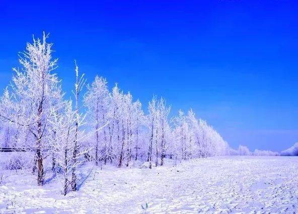 世界_琼花_松花江畔