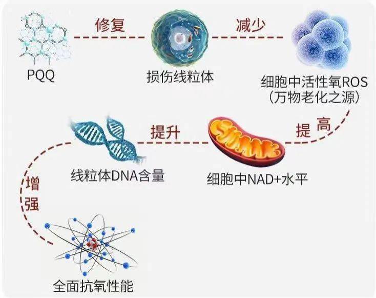 清倉:取了一滴血,發現這一年的n*n沒白吃_暖暖_檢測_水平