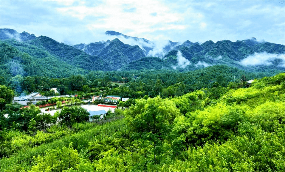 欣欣向榮的市級和美鄉村示範村——農林村_翠峰鎮_建設_村民