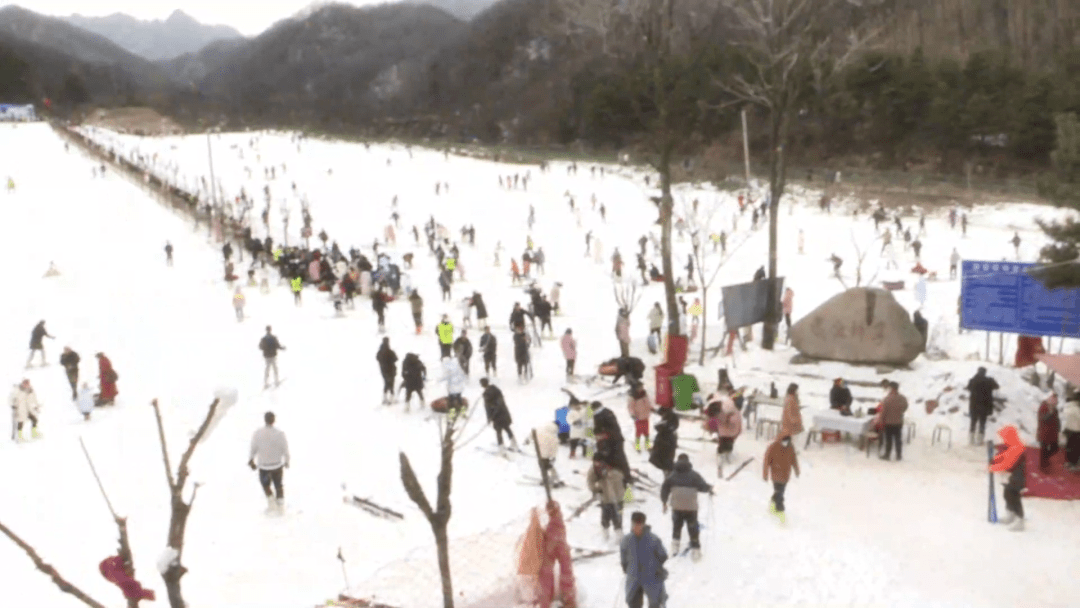 冬日滑雪狂歡盛宴!雪野飛馳