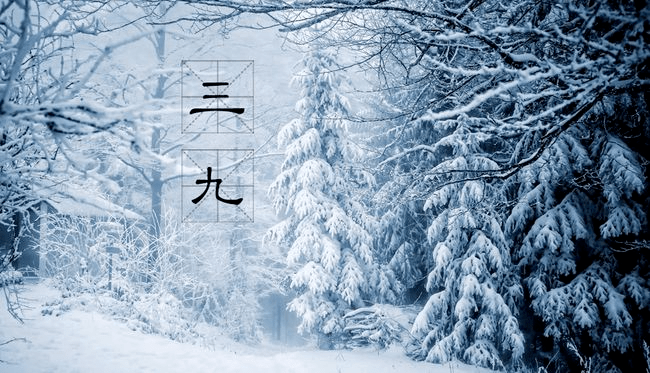 最新三九进九时间表，太实用了，送给大家！（收藏）