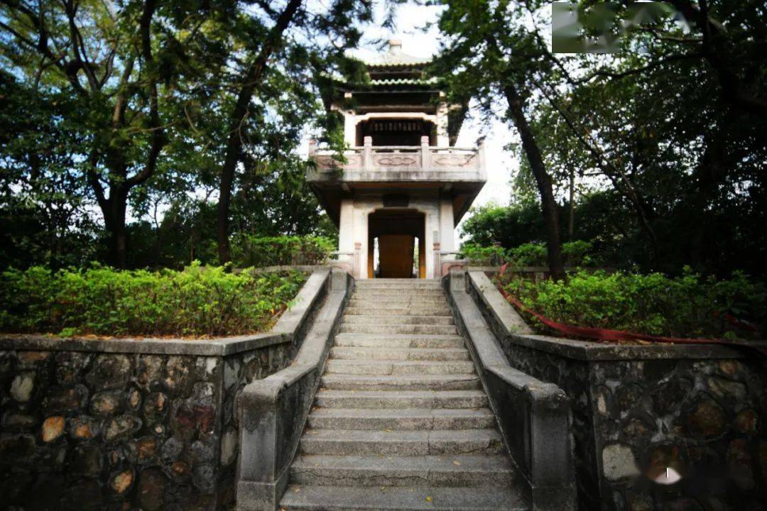 锦岩公园望月亭_先生_陈岩野_景观