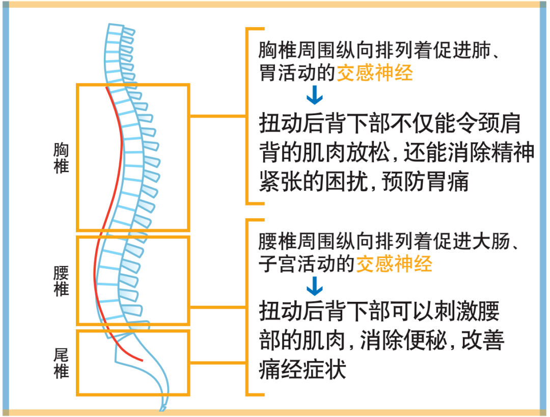 扭动腰部的动作,改善便秘,腰痛及经期不适感