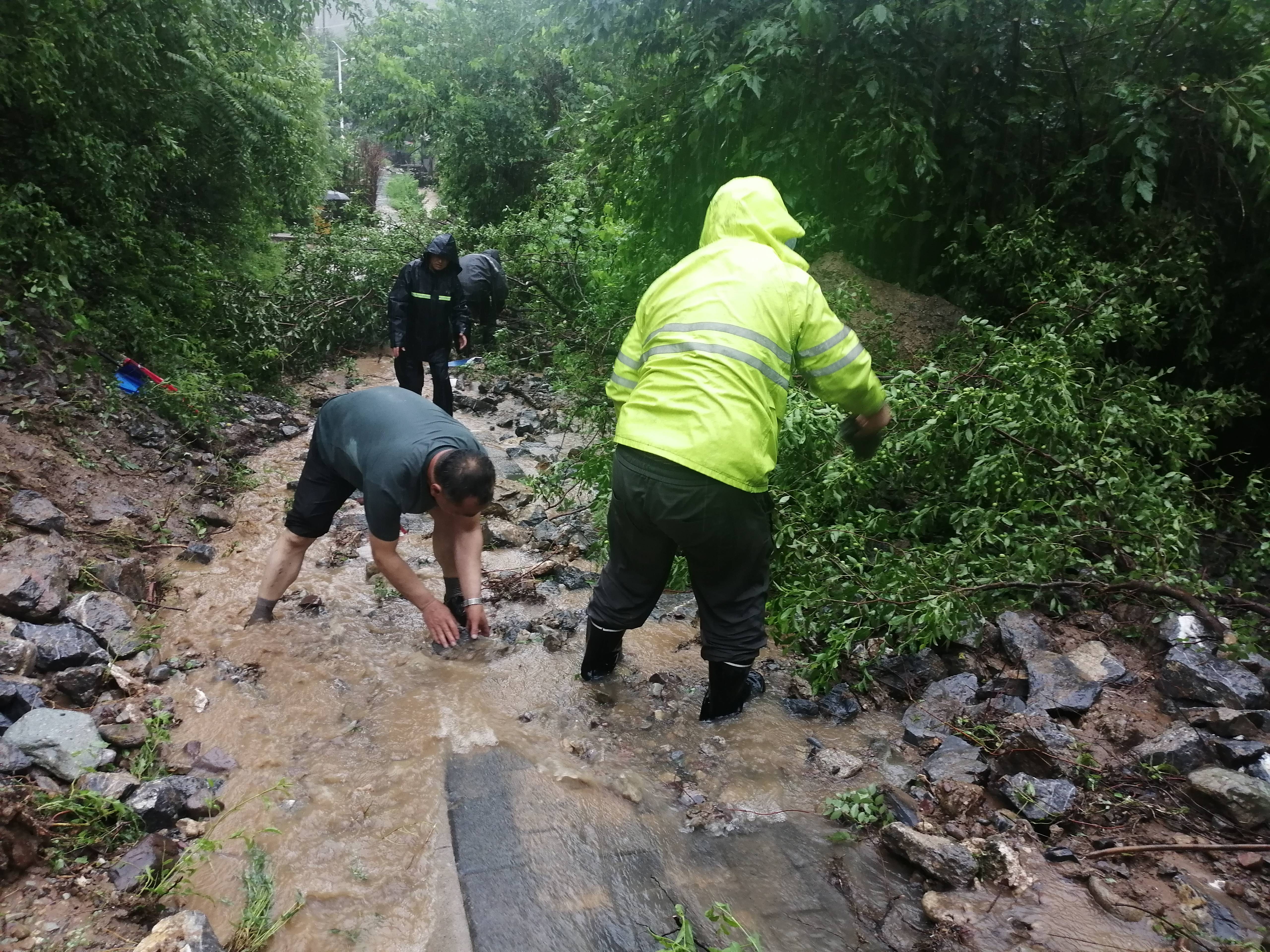 社区书记孟二梅:暴雨中助千名滞留旅客脱困"救人是一种本能"_落坡岭