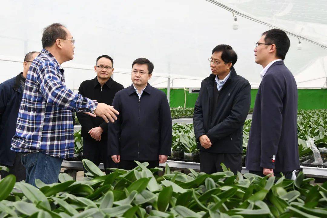 局局长吴美良率队到清溪镇调研现代农业产业高质量发展情况,沈志攀,蔡